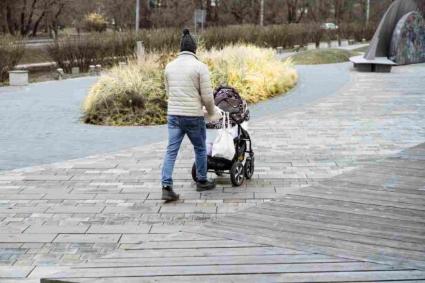 young father walking in park pushing a baby carria 2025 03 08 15 04 55 utc 1