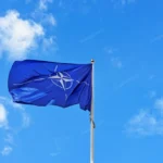 Nato Freepik1