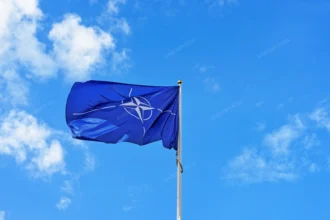 Nato Freepik1