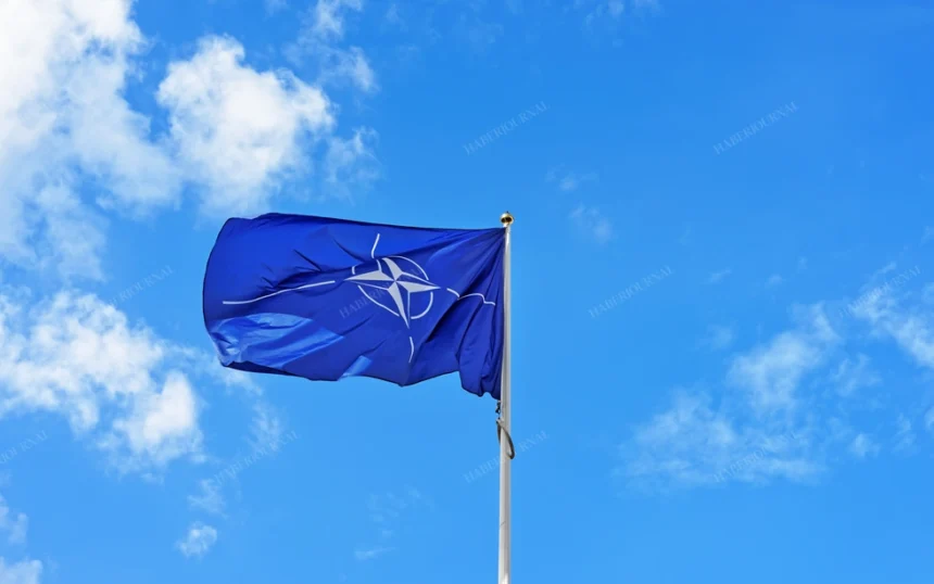 Nato Freepik1