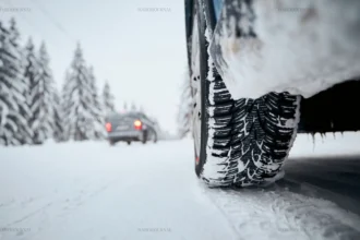 Kis Lastigi Envato6