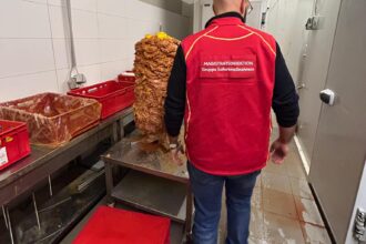 Doner1 e1737647890555