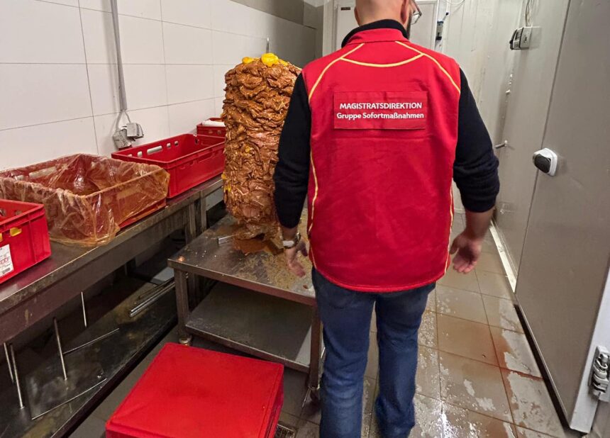 Doner1 e1737647890555