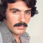 ferdi