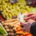 Orta Euro Envato 7