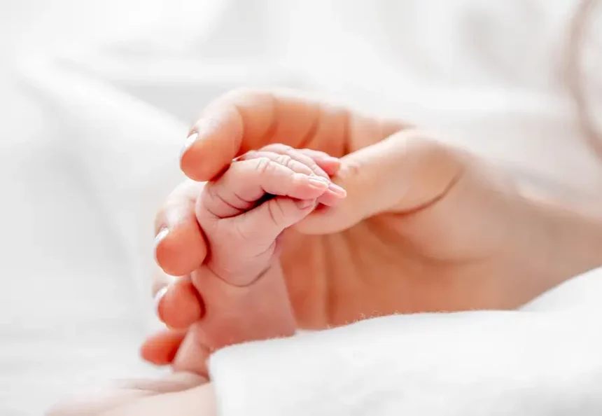 mother holding newborn baby hand 2023 11 27 05 28 17 utc