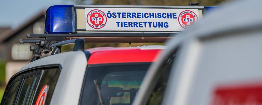 ORF Hayvanlar