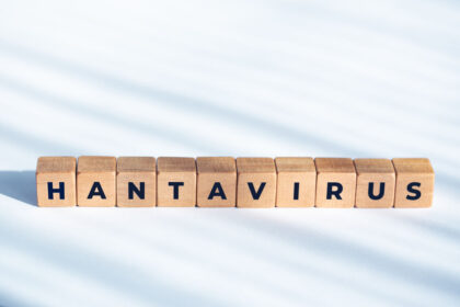 hantavirus