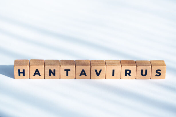 hantavirus