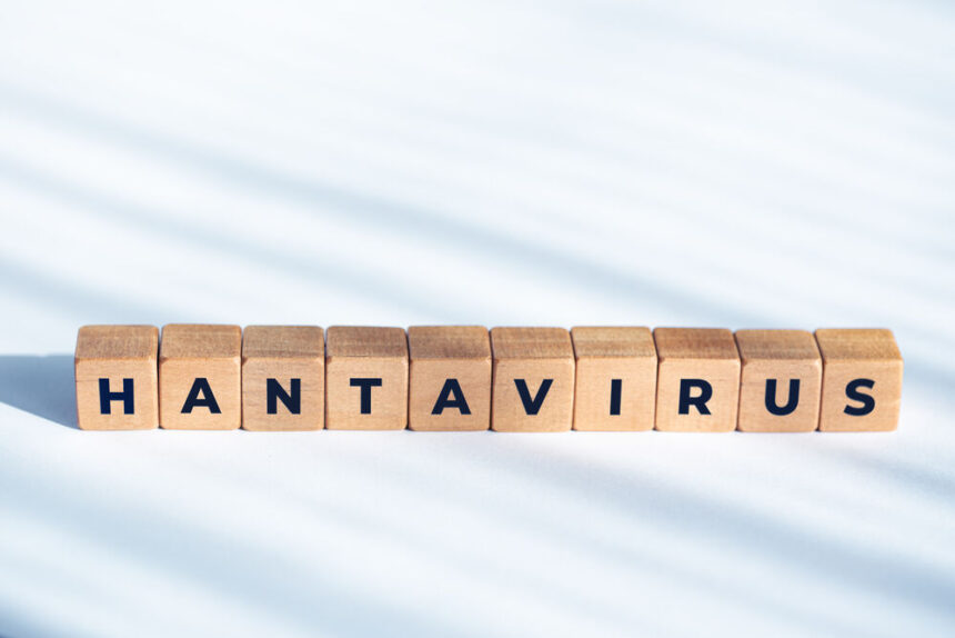 hantavirus